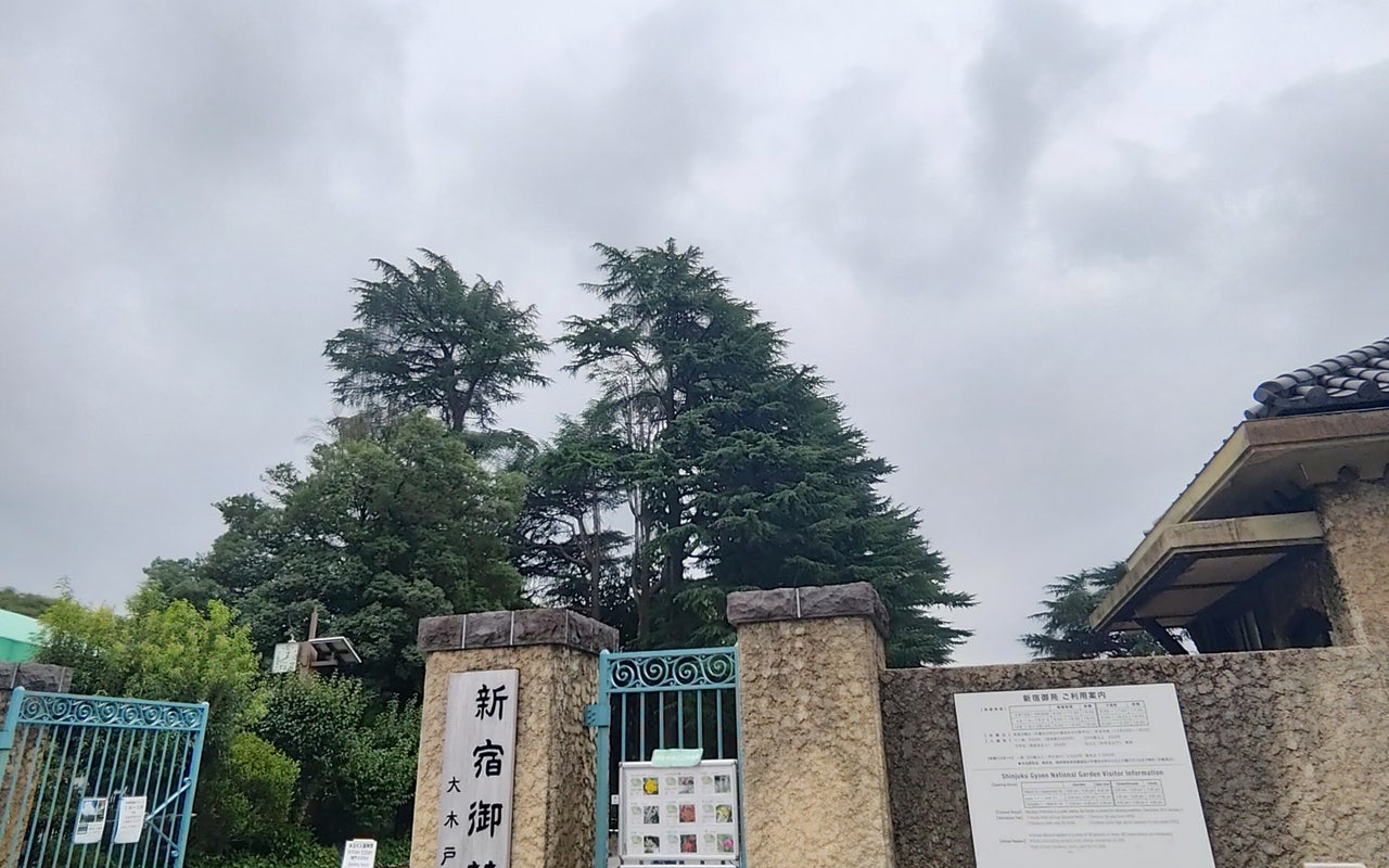 Shinjuku Gyoen (新宿御苑)