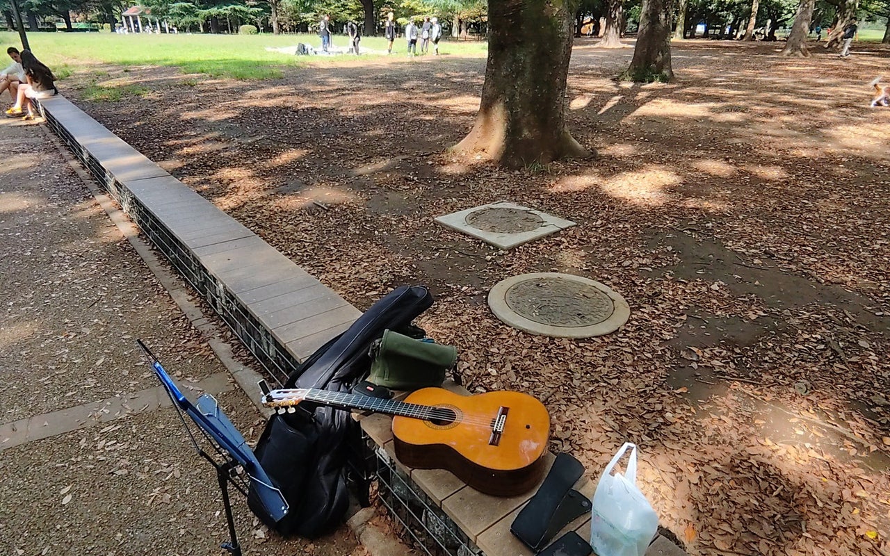 Yoyogi Park (代々木公園)