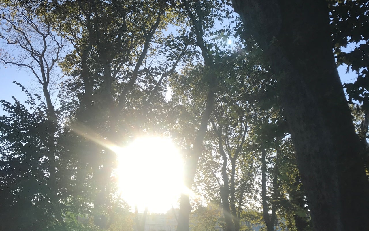 Gülhane Park (Gülhane Parkı)