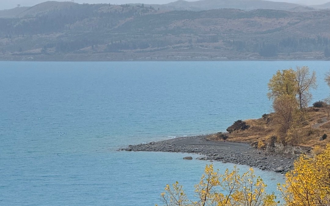 Scenic Lookout Lake Pukaki