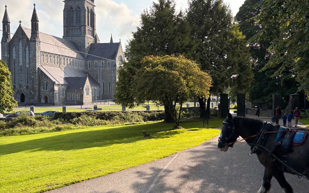 Killarney National Park