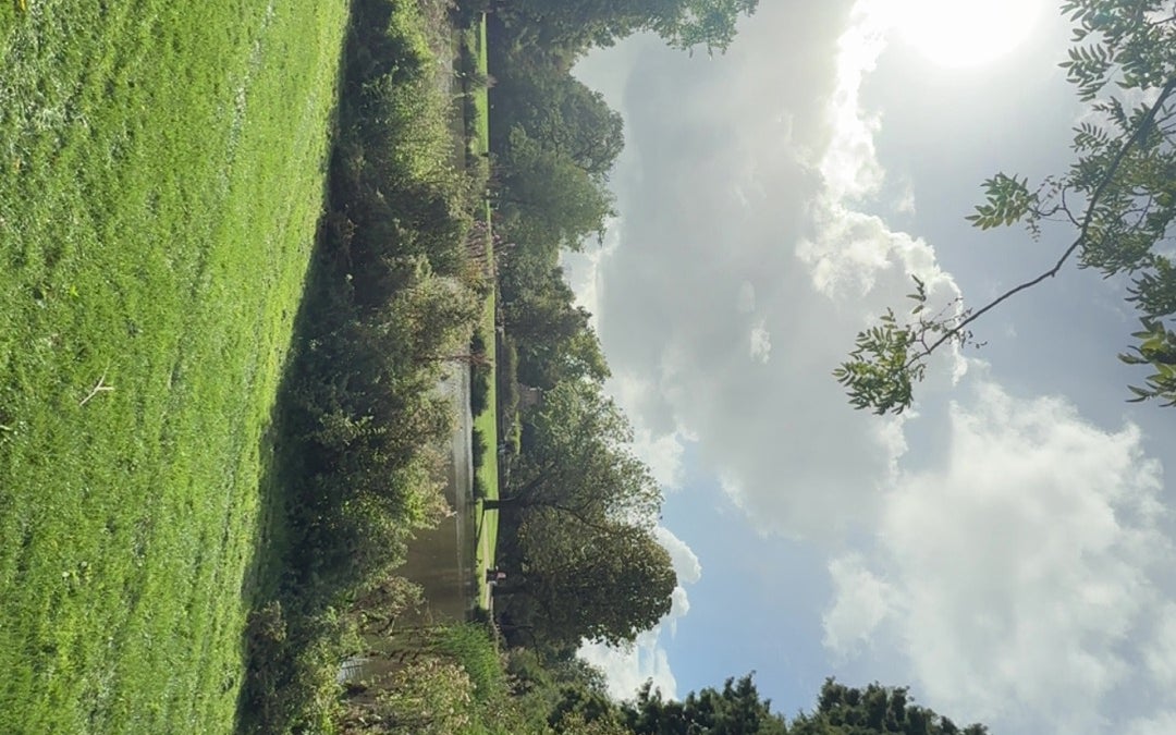 Vondelpark