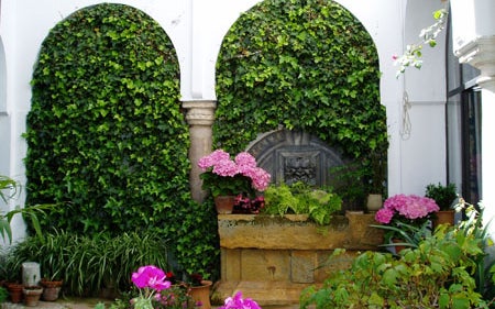 Casa-Patio de la Calle San Basilio, 20