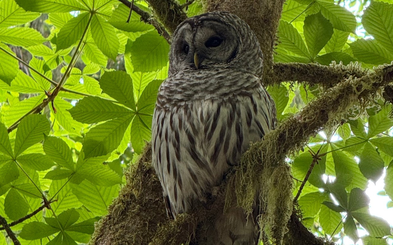 Point Defiance Park