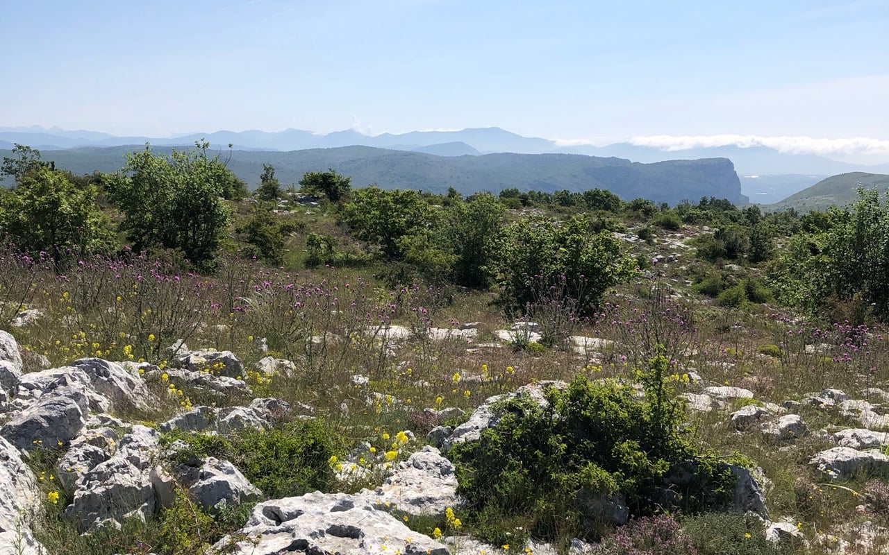 Col de Vence