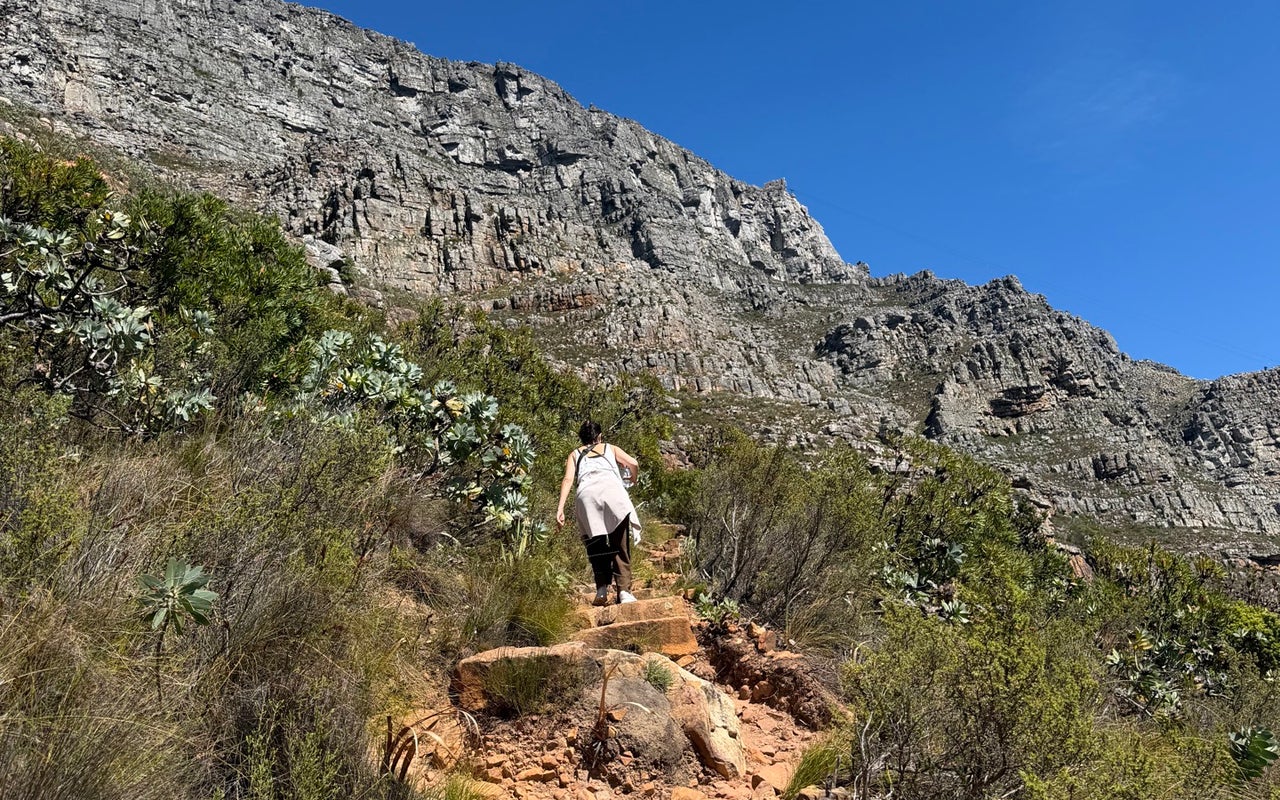 Table Mountain National Park