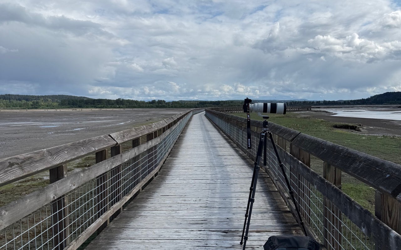 Nisqually National Wildlife Refuge