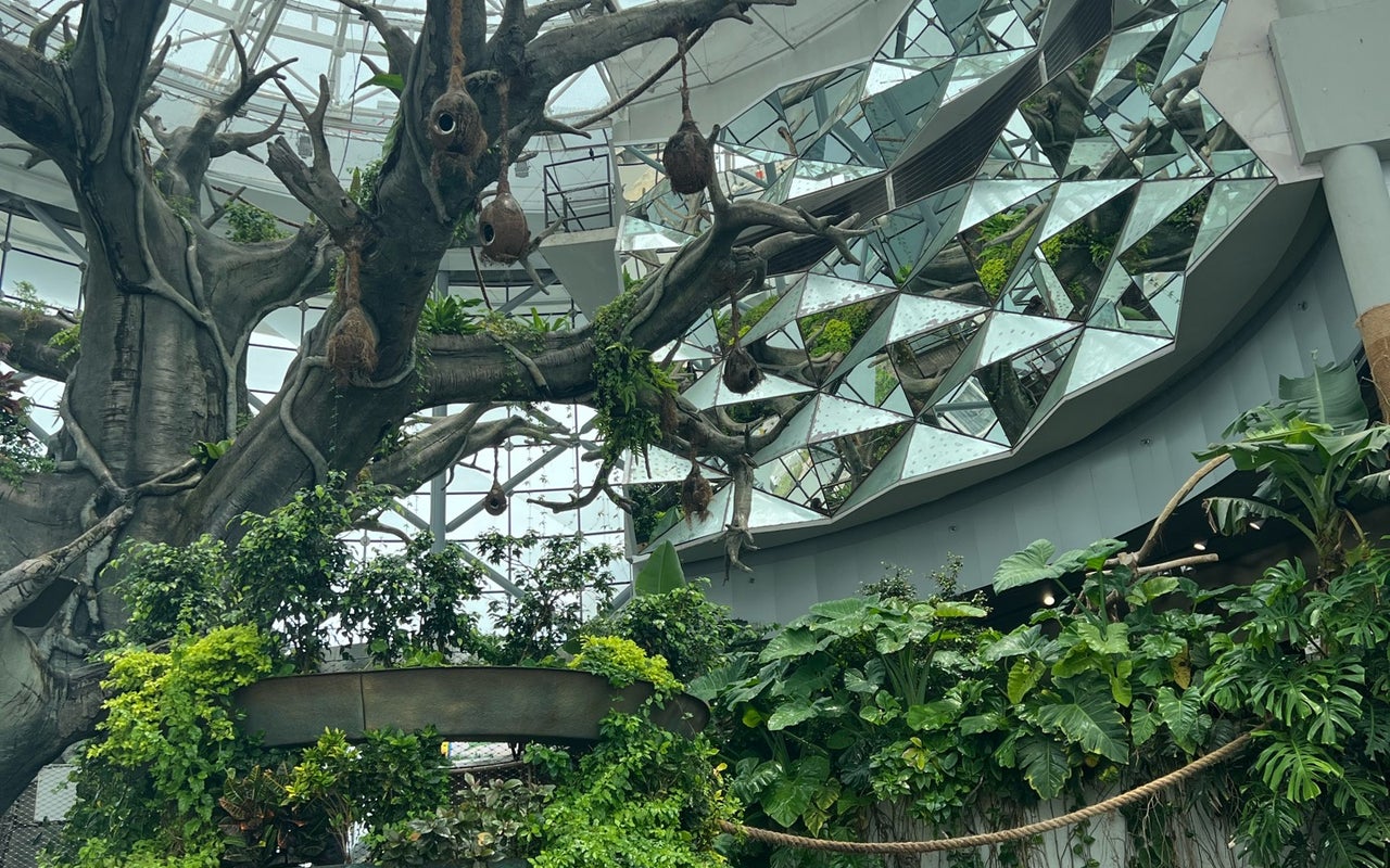 The Green Planet