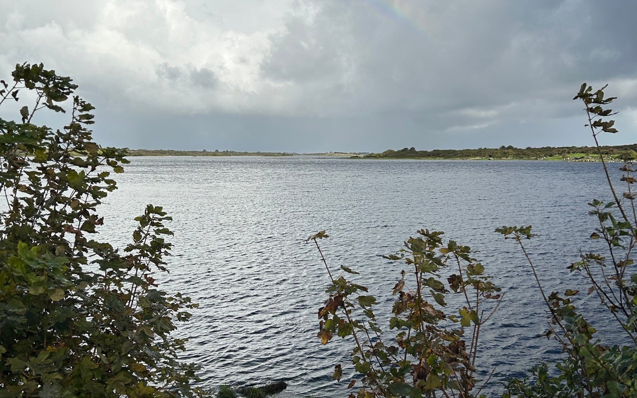 Dunguaire Castle