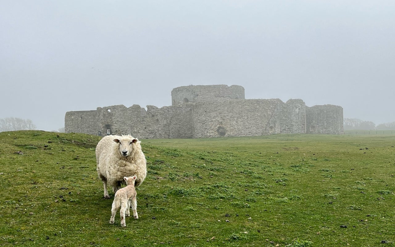 Camber Castle