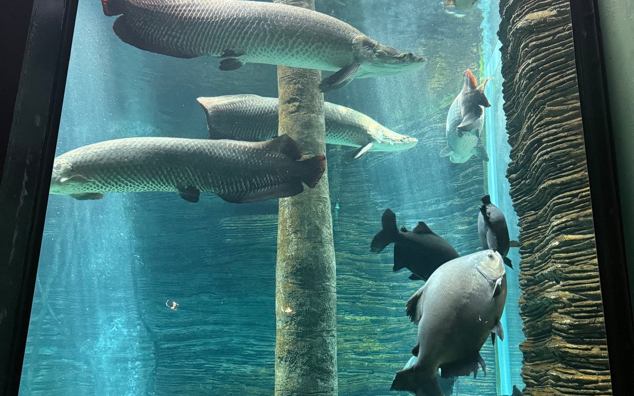 Parque Explora
