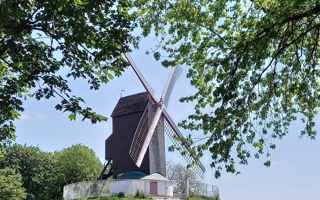 Koeleweimolen