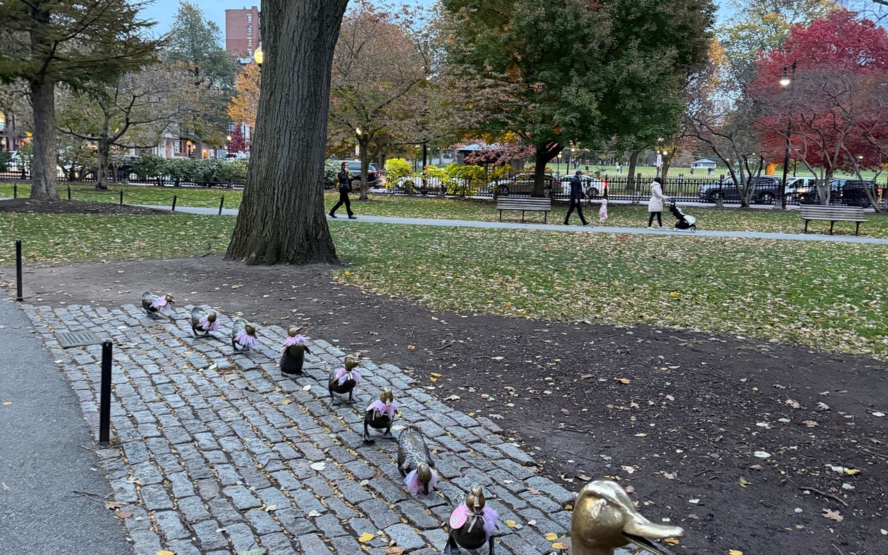 Make Way For Ducklings