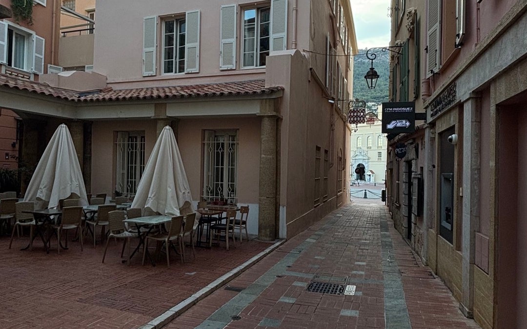 Prince's Palace of Monaco (Palais Princier de Monaco)