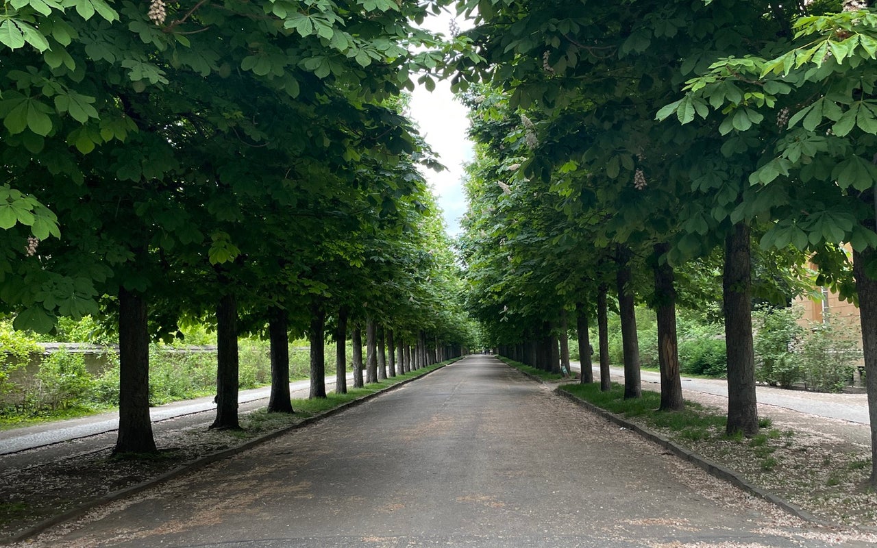 Park Sanssouci