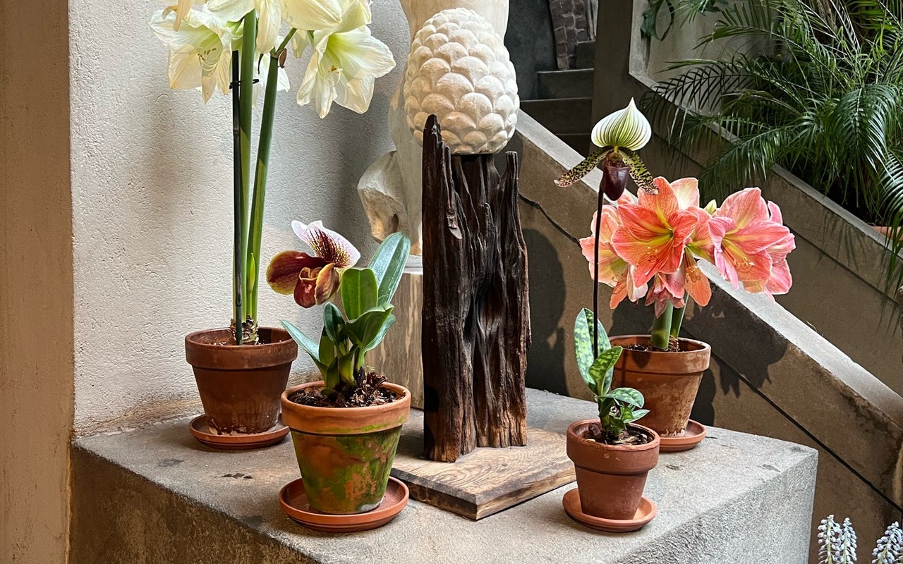 Isabella Stewart Gardner Museum
