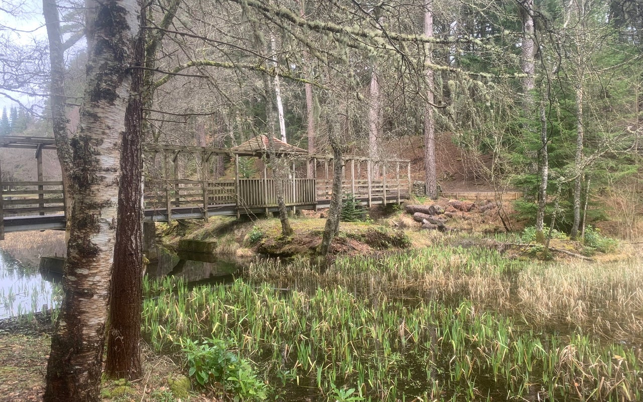 Faskally Forest