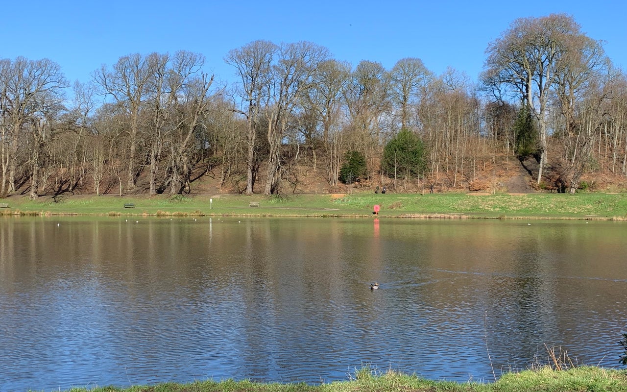 Callendar Park