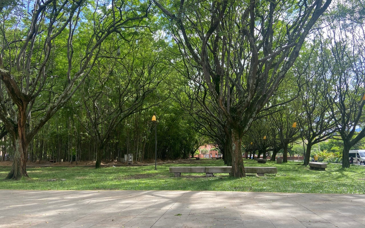 Parque De Los Pies Descalzos