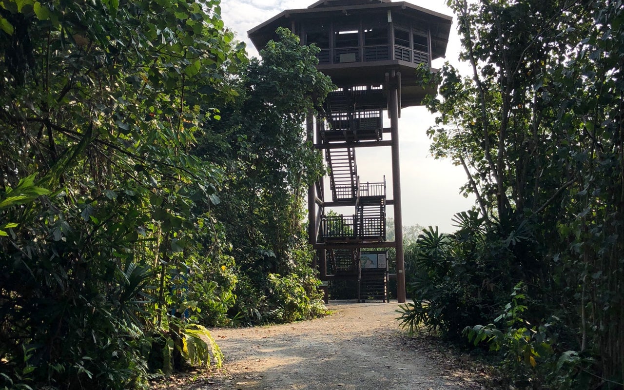 Aerie Tower