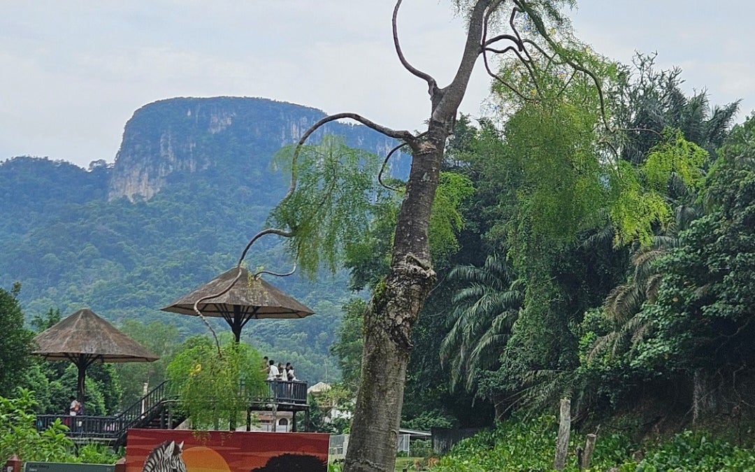 Zoo Negara (National Zoo)
