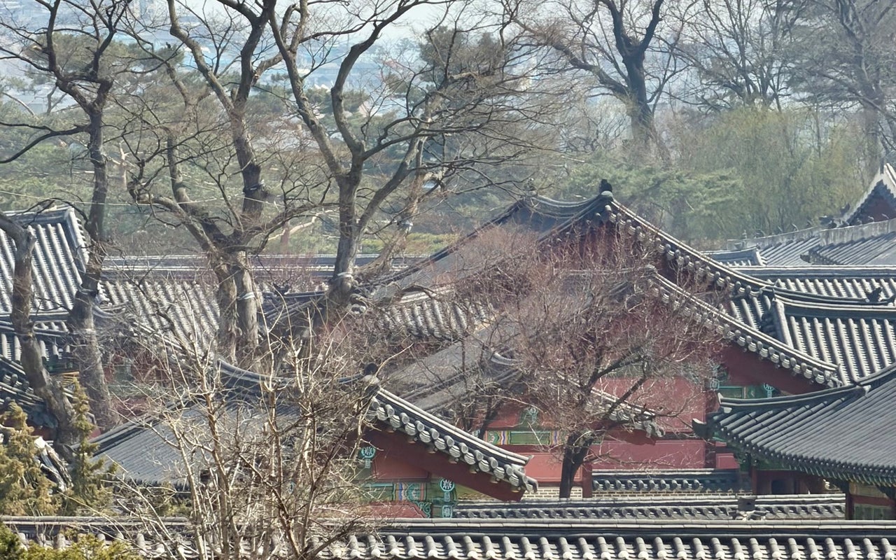 Changdeokgung (창덕궁)