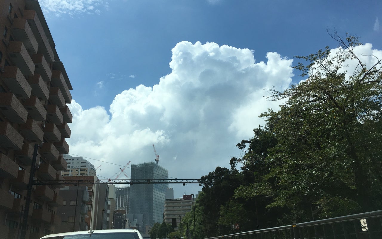 Institute for Nature Study (国立科学博物館 附属自然教育園)