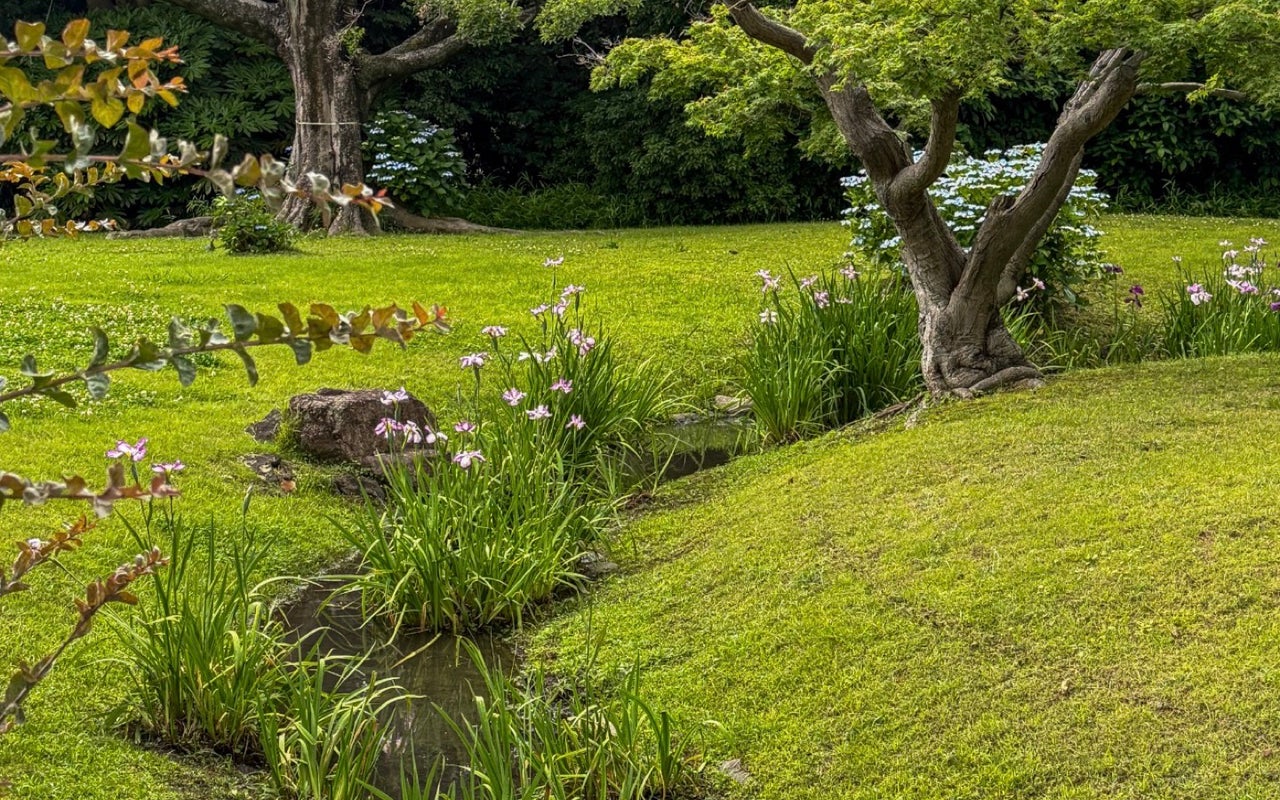 Hamarikyu Gardens (浜離宮恩賜庭園)