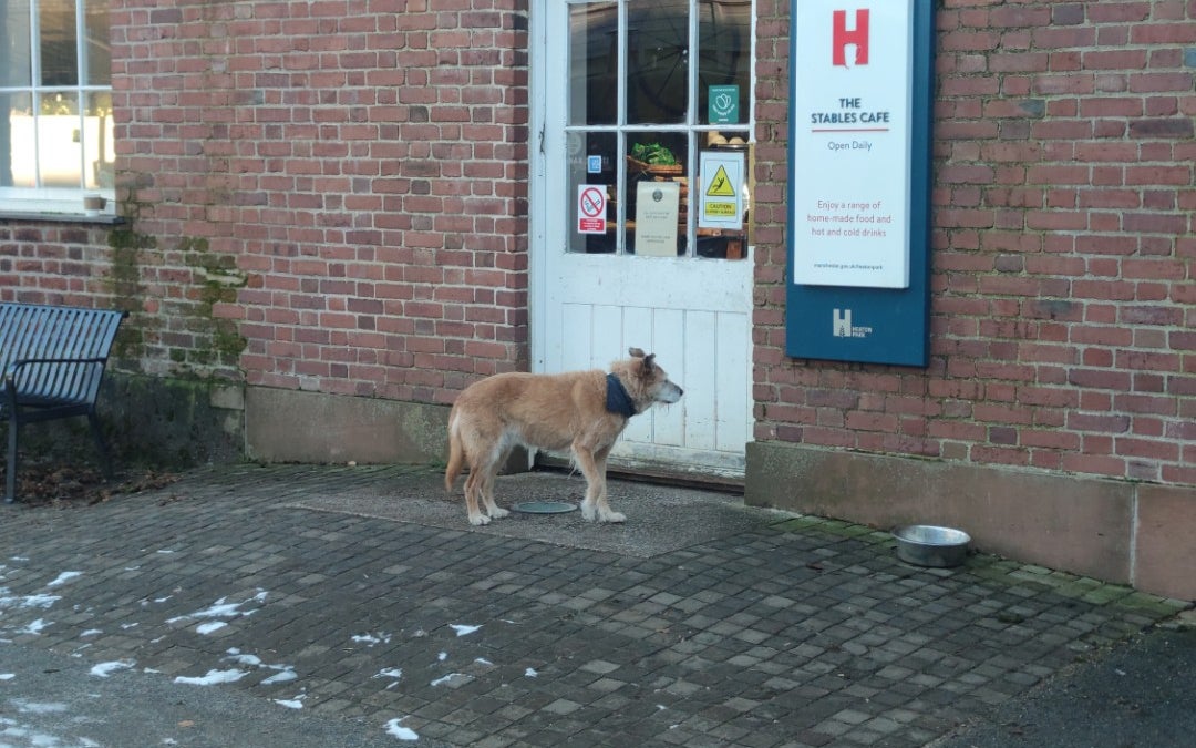 The Stables Cafe