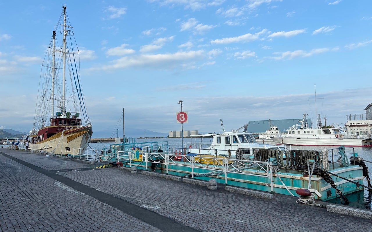 Shimizu Port Bay Cruise (清水港ベイクルーズ)
