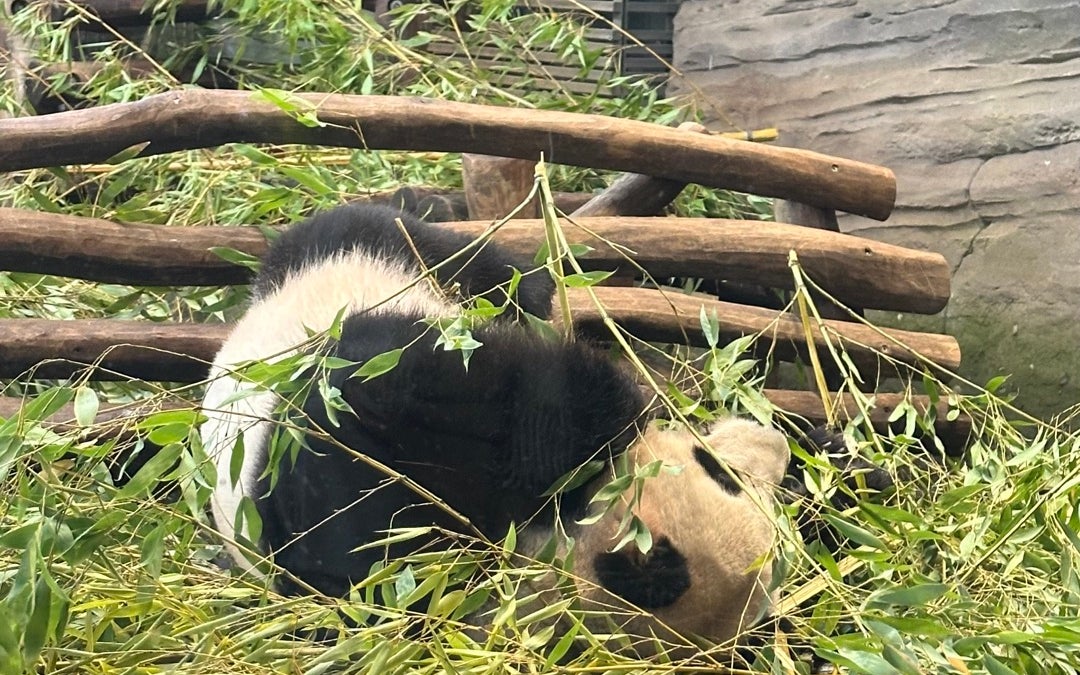 Zoo Berlin
