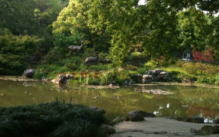 Botanical garden
