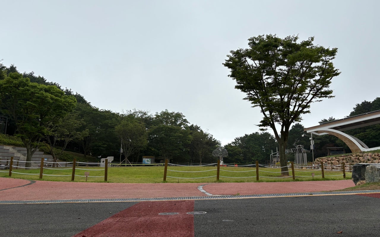 Cheonmasan Sculpture Park (천마산조각공원)
