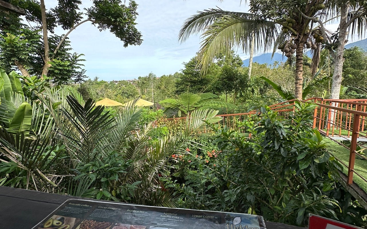 Hidden Garden