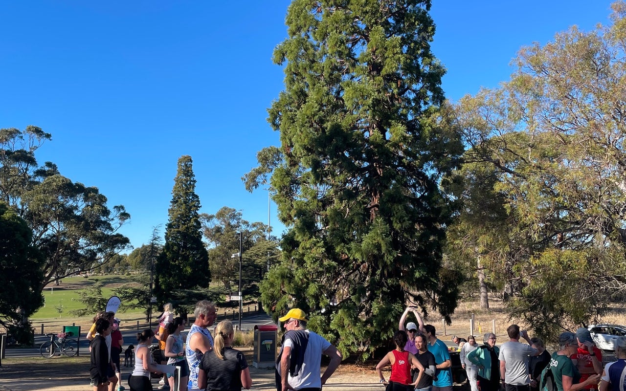 Queens Domain