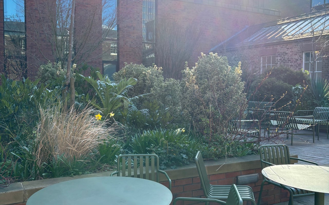 the Bluecoat