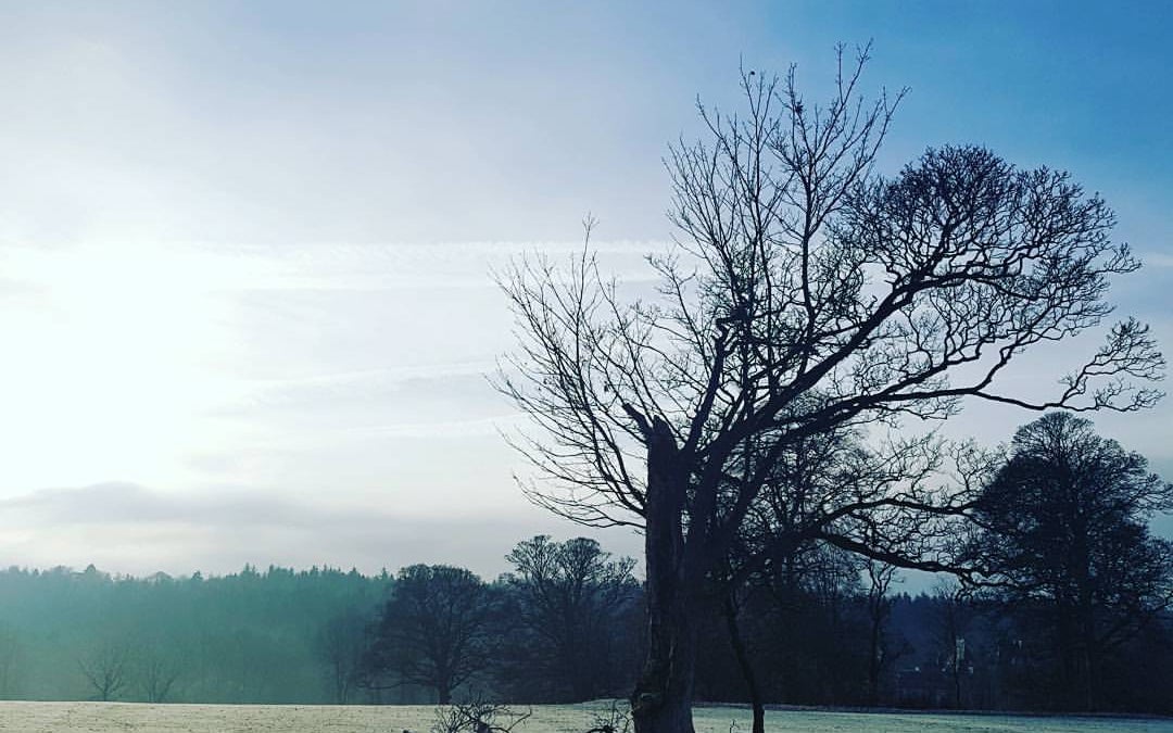 Callendar House