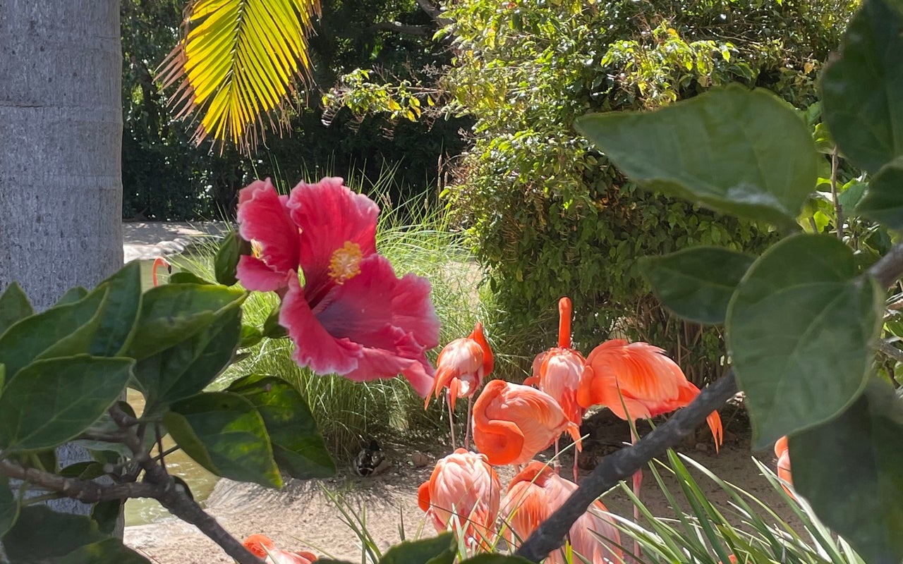 San Diego Zoo