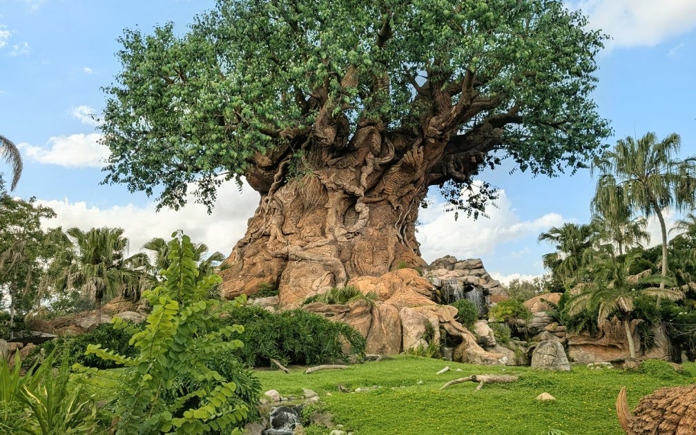 Disney's Animal Kingdom