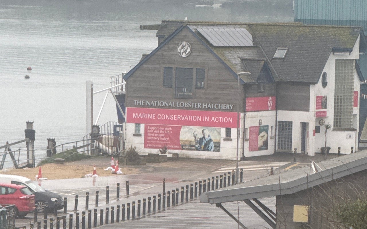 The National Lobster Hatchery