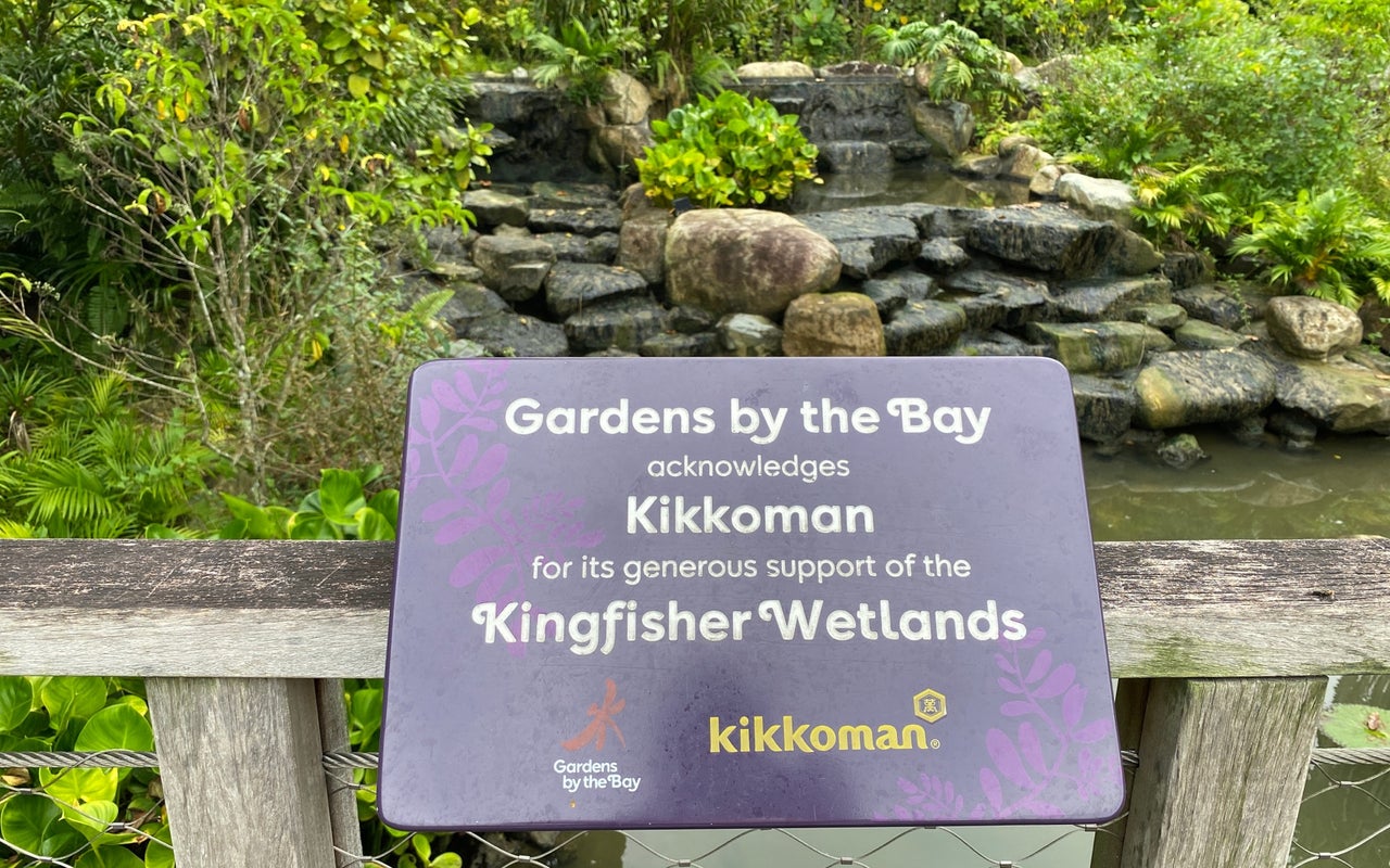 Kingfisher Wetlands