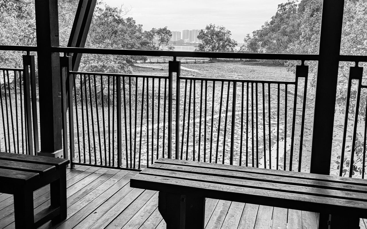 Mangrove Boardwalk