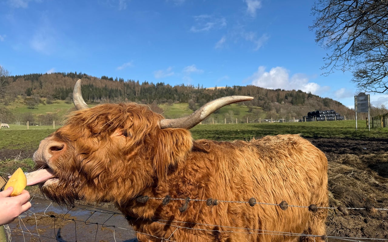 Trossachs Woollen Mill