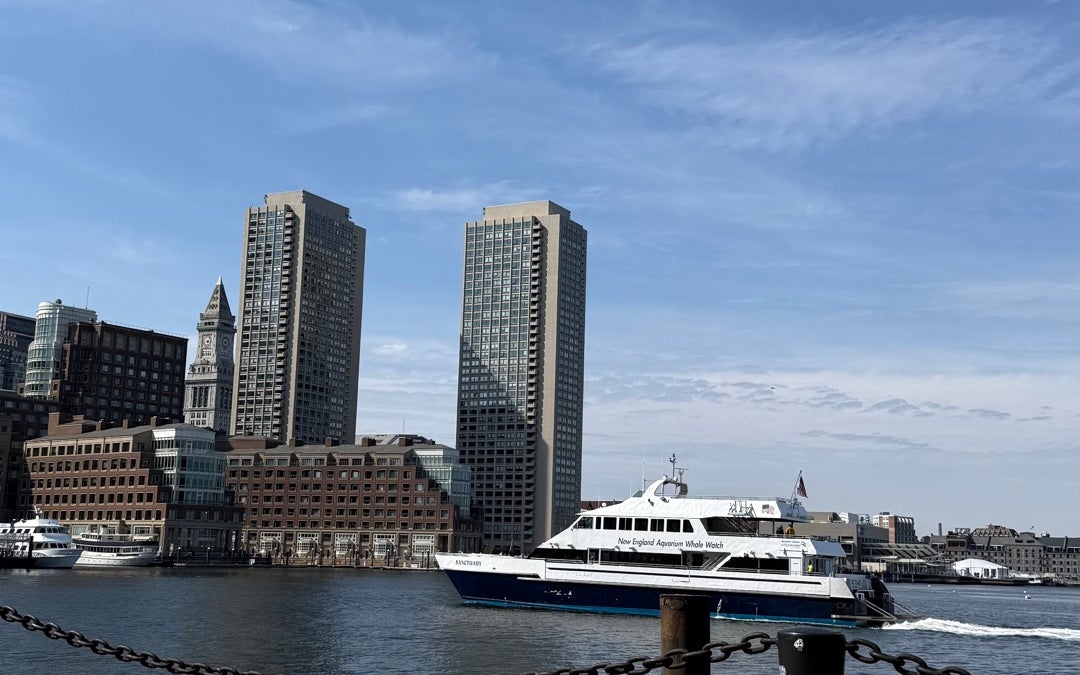 Fan Pier Park