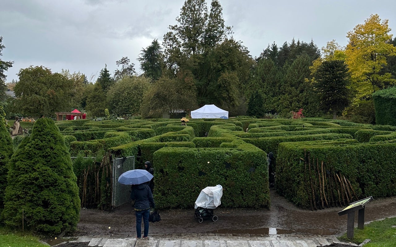 The Maze at Van Dusen Gardens