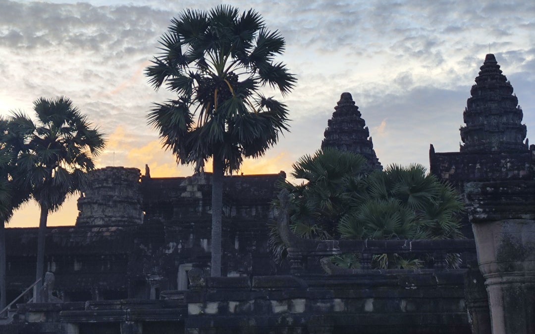 Angkor Wat (អង្គរ