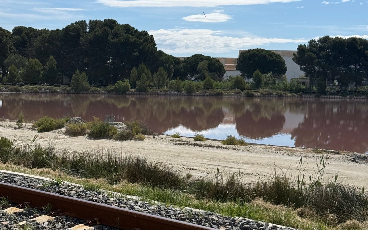 Salins d'Aigues-Mortes