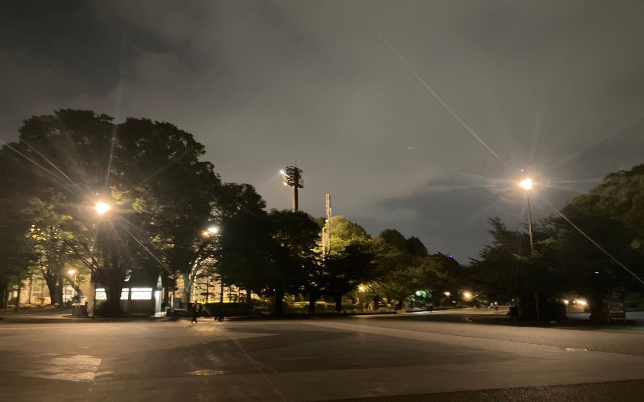 Ueno Park (上野恩賜公園)
