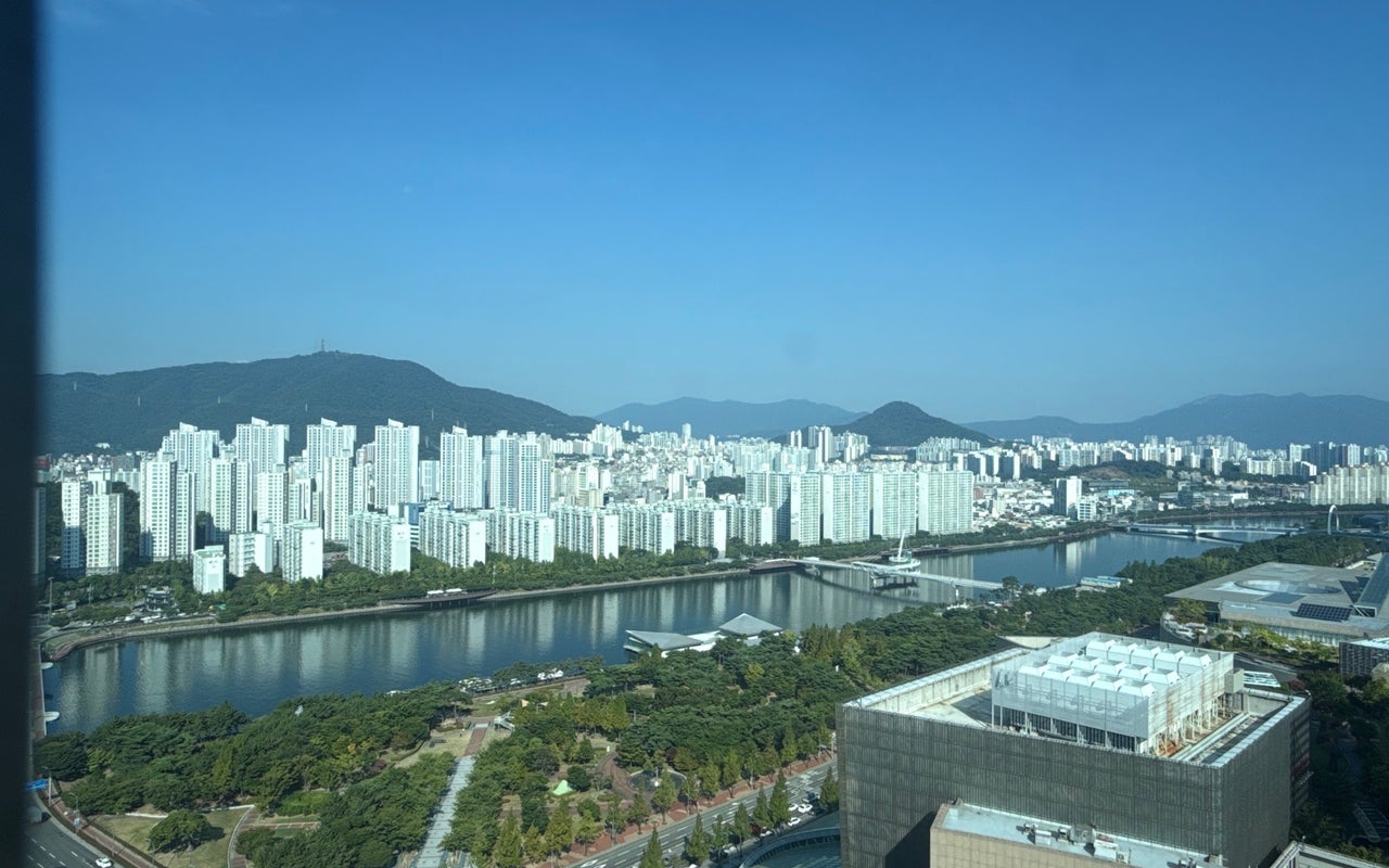 APEC Park Viewed from Lotte Gallerium Centum (29F에서 본 APEC나루공원)