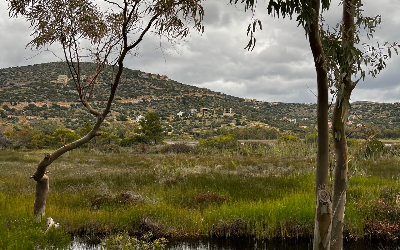 Schinias National Park